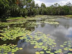 CairnsTC056 Centenary Lakes